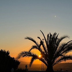 Nederlandse vrouw start nieuw leven in Alicante