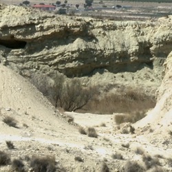 Zicht op de droge vegetatie waar slangen en vogels schuilen
