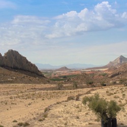 Droge rivierbedding bij Albatera