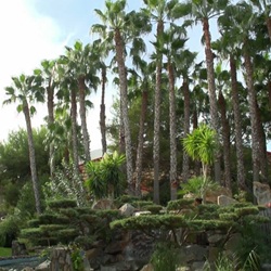 Straatbeeld in Albatera