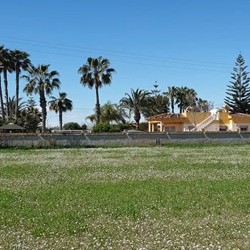 Groene akkers bij Catral