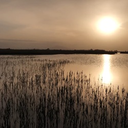 Landschap bij Catral met waterkanaal
