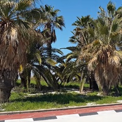 Natuurgebied bij Catral