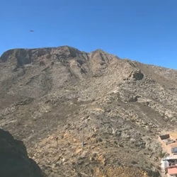 Groene boomgaard bij Cox met kanaal