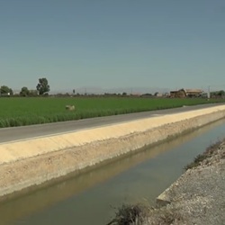 Groene velden en vogelrijk landschap bij Daya Vieja