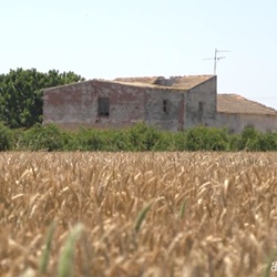 Windmolen en landbouw in Dolores