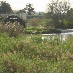 Historisch dorpsbeeld Formentera