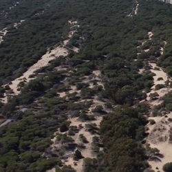 Wandelpad in de duinen van Guardamar