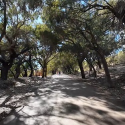 Vijver en paden in Parque Reina Sofía