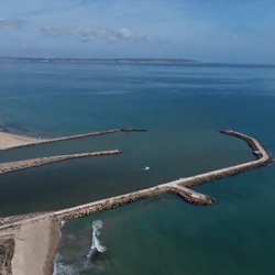 Vogels in duinlandschap Guardamar