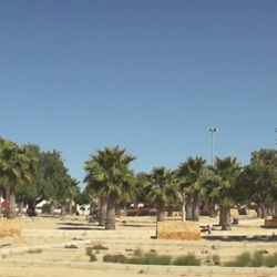 Nederlanders op terras in Los Montesinos