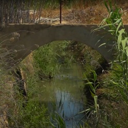 Riet en velden buiten Rafal