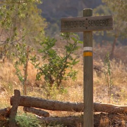 Flora van Redován met uitzicht over berghellingen