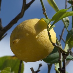 Zicht op Redován en natuur