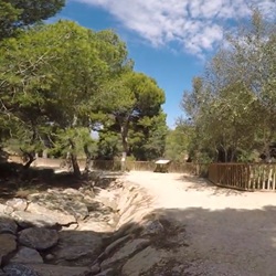 Flamingo's nabij Rojales