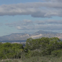 Duingebied Guardamar bij San Fulgencio Duinen bij Guardamar