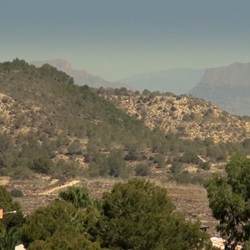 Mediterrane vegetatie in de Sierra Escalona
