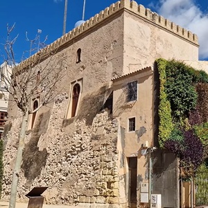 Historisch centrum van Elche met palmbomen