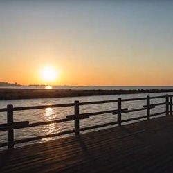Flamingo's in de zoutvlaktes van Santa Pola