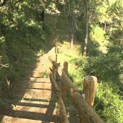 Geneeskrachtige planten in de Sierra de Mariola Sierra de Mariola bij Muro de Alcoy