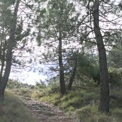 Wandelpad Alto de Montcabrer Uitzicht vanaf Montcabrer