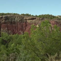 Natuur rond Aspe met steeneiken en bijeneters