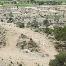 Natte gebieden in natuurpark El Hondo