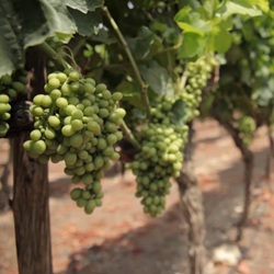 Sierra del Cid met wandelpad