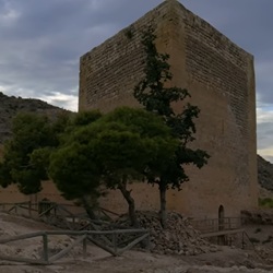 Rustige landelijke omgeving nabij Novelda