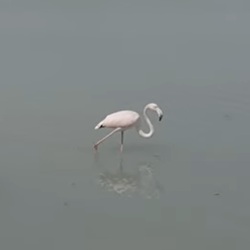 Sierra de Bernia met mediterrane flora