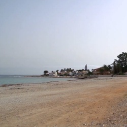 Sinaasappelboomgaarden Els Poblets