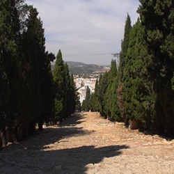 Markt met streekproducten in Gata de Gorgos