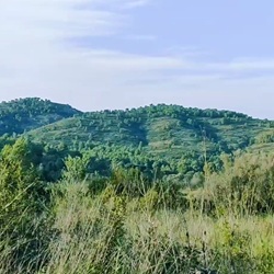 Bergachtige natuur met bloemen bij Gata
