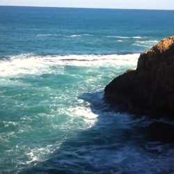 Mediterrane flora in Montgó park