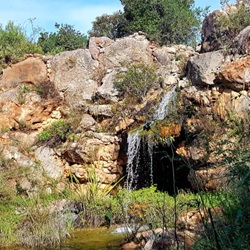 Sportcentrum met padelbanen in Pedreguer