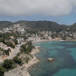 Wandelpad in dennenbos