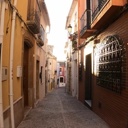 Traditionele druivendroging bij finca