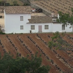 Wandelpad langs wijngaarden en bergen in Xaló