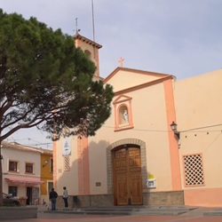 Symbolische pijnboom op het centrale plein Symbolische pijnboom op het centrale plein