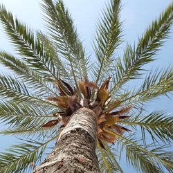 Natuur rond La Nucia