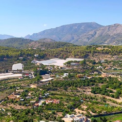 Bloeiende mediterrane planten bij Polop