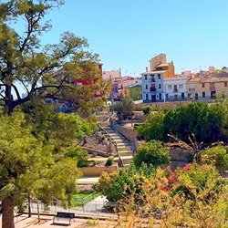 Bergen en dennenbos bij Villajoyosa