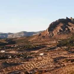 Vegetatie op Cabeçó d’Or