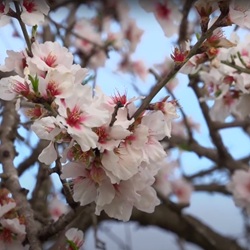 Uitzicht op het ruige landschap rond Jijona