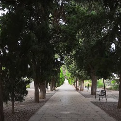 Vogels in Serra de la Ballestera