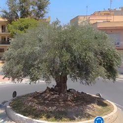 Landschap Sant Joan d'Alacant Sant Joan d'Alacant landschap