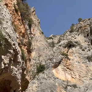 Font Roja natuurpark Font Roja bosgebied nabij Alcoy