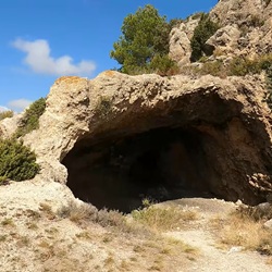 Bloeiende kruiden in natuurpark Serra de Mariola
