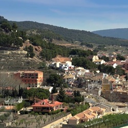 Vleermuizen en uilen in Ibi