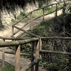 La Teixereta bosgebied